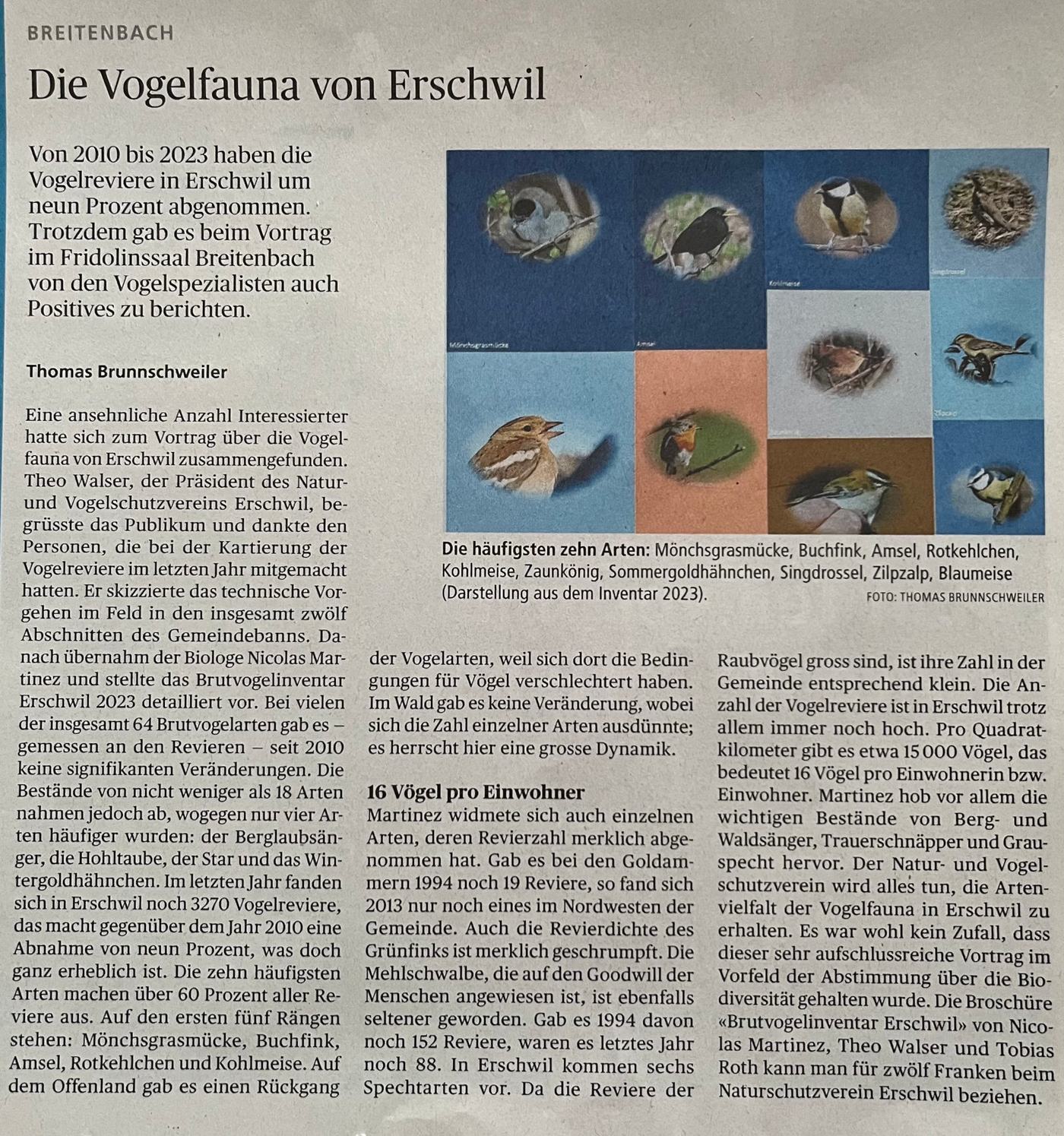 Zeitungsbericht im Wochenblatt 2024 über das Brutvogelinventar