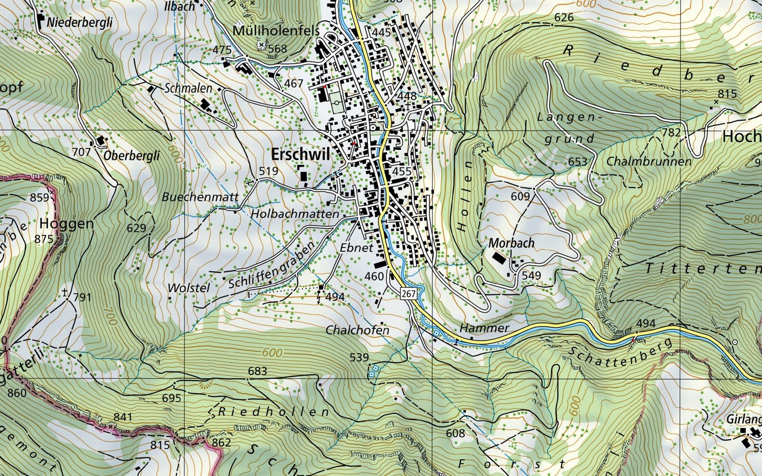 Landeskarte von Erschwil mit den nummerierten Einsatzorten des Vereins