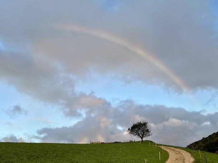 Regenbogen über dem Gupf