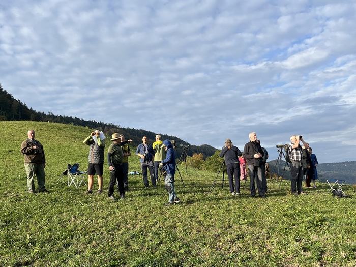 Beobachtende auf dem Gupf