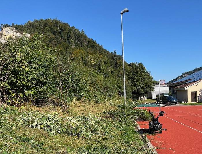 Heckenpflege beim Schulhaus
